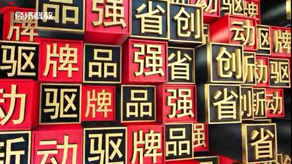 廣東廣播電視臺對春羽秋豐總經理專訪